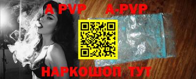 молекула духа Кингисепп