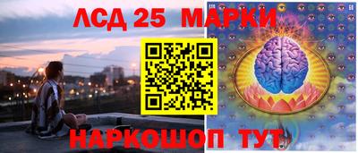 молекула духа Кингисепп