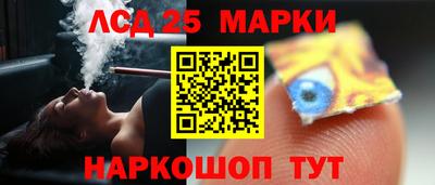 молекула духа Кингисепп