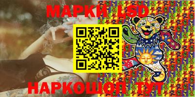 молекула духа Кингисепп