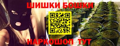 молекула духа Кингисепп