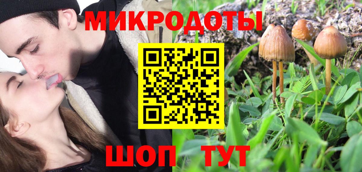 Псилоцибиновые грибы Psilocybe  Лабинск  Псилоцибиновые грибы MAGIC MUSHROOMS 