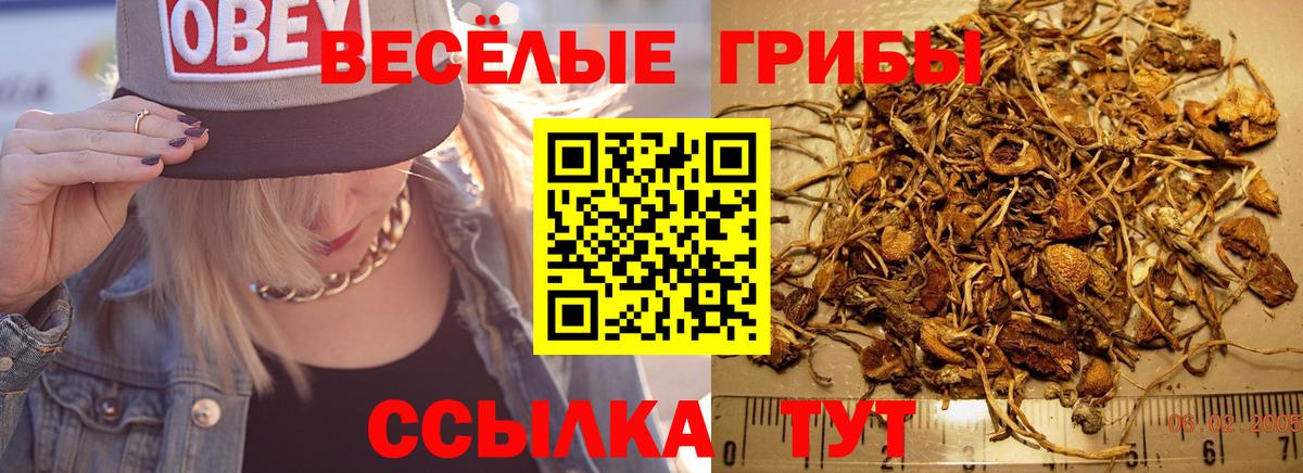 Псилоцибиновые грибы Лабинск