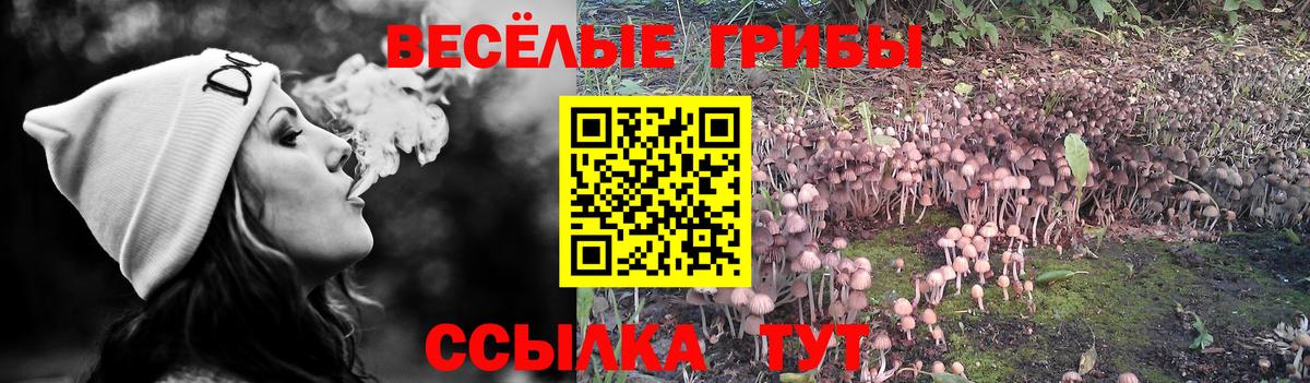 Лабинск  Галлюциногенные грибы мицелий  Вход с VPN  Галлюциногенные грибы Magic Shrooms 