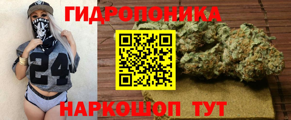 Бошки Шишки планчик Лабинск